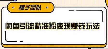 闲鱼引流精准粉变现赚钱玩法，每天可以引流精准粉100+-59爱分享