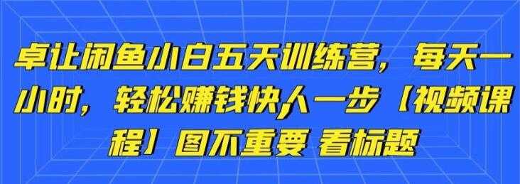 图片[1]-卓让《闲鱼项目小白五天训练营》每天一小时，轻松赚钱快人一步-59爱分享