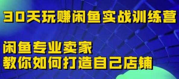 《30天玩赚闲鱼实战训练营》闲鱼专业卖家教你如何打造自己店铺-59爱分享