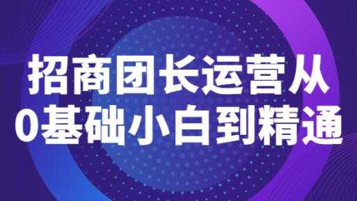 《招商团长运营》从0基础小白到精通-59爱分享