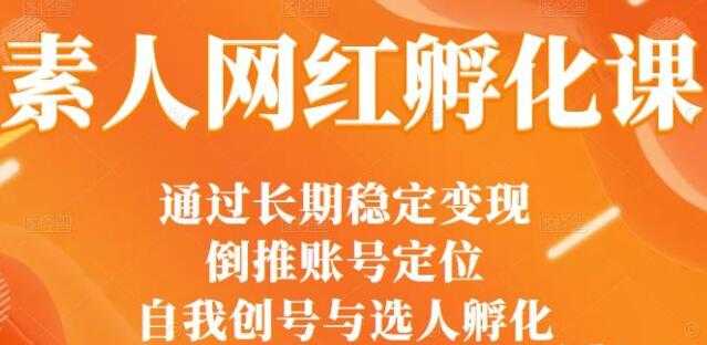 马大个《素人网红孵化课》通过长期稳定变现，自我创号与选人孵化-59爱分享