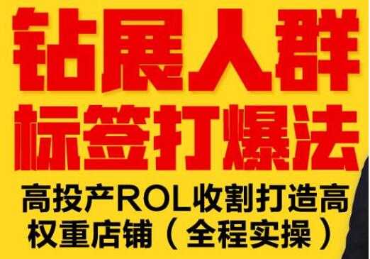 逐鹿《淘宝钻展人群标签打爆法》高投产ROL收割打造高权重店铺(全程实操)-59爱分享