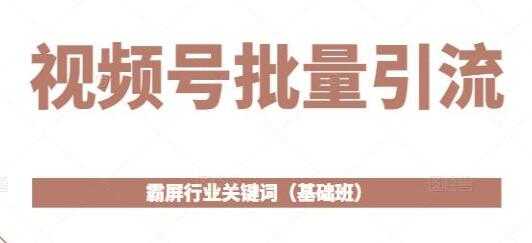 《视频号批量引流》霸屏行业关键词玩法（基础班）-59爱分享