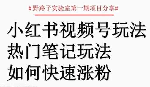图片[1]-小红书视频号项目，直接上手操作，月入过万-59爱分享