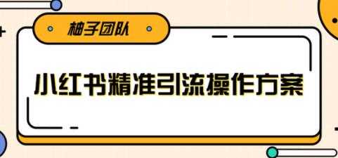小红书精准引流操作方案，能够直接落地实操引流技术-59爱分享