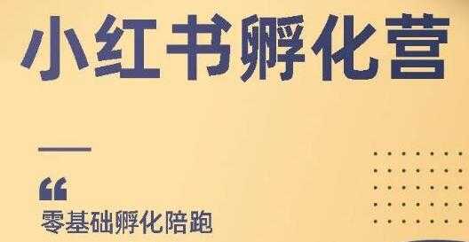 小红书撸金项目，教你如何快速起号获得曝光，做到月躺赚在3000+-59爱分享