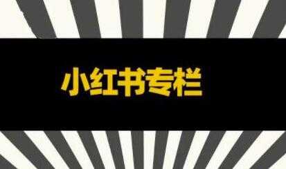 品牌医生《小红书全链营销干货》5个起盘案例，营销策略规划，避坑指南-59爱分享