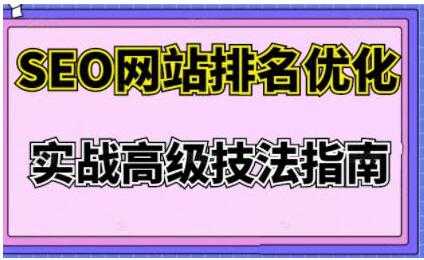 樊天华《SEO网站排名优化》实战高级技法指南-59爱分享