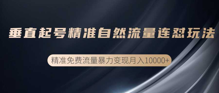 垂直起号精准自然流量连爆玩法，精准引流暴力变现月入10000+-59爱分享