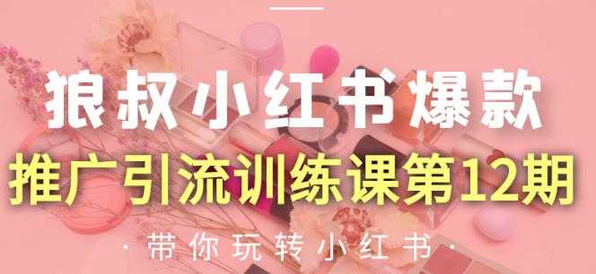 图片[1]-狼叔小红书爆款推广引流训练课第12期，手把手带你玩转小红书-59爱分享