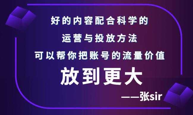 张sir账号流量增长课，告别海王流量，让你的流量更精准-59爱分享