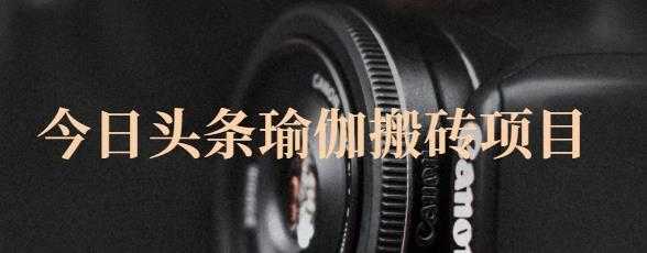 猎人社区·今日头条瑜伽搬砖项目，单号一天几十收入，可以批量操作！-59爱分享