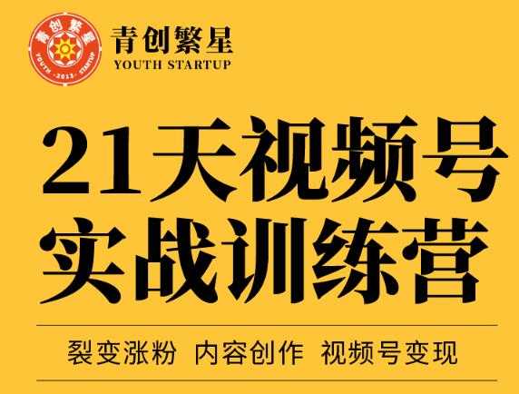 张萌21天视频号实战训练营，裂变涨粉、内容创作、视频号变现 价值298元-59爱分享