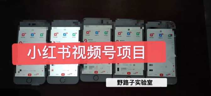 图片[1]-野路子小红书视频号1.0项目，直接上手操作就能赚钱的视频号项目-59爱分享