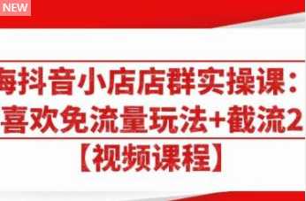 大海抖音小店店群实操课：猜你喜欢免流量玩法+截流 2.0-59爱分享