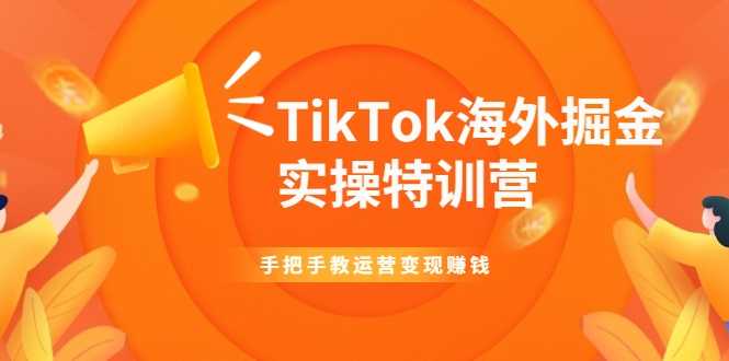TikTok海外掘金实操特训营：手把手教运营变现赚钱-59爱分享