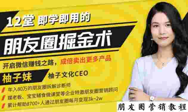 【营销必学】12堂学之即用的朋友圈掘金术：开启你的副业赚钱之路-59爱分享