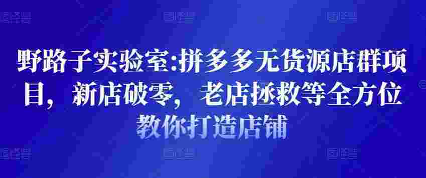 野路子实验室:拼多多无货源店群项目，新店破零，老店拯救等全方位教你打造店铺-59爱分享