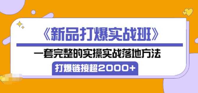图片[1]-凌童《新品打爆实战班》,一套完整的实操实战落地方法，打爆链接超2000+（28节课)-59爱分享