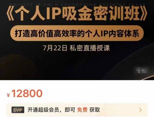 个人IP吸金密训班，打造高价值高效率的个人IP内容体系（价值12800元）-59爱分享