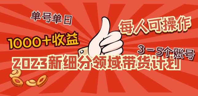 2023新细分领域带货计划：单号单日1000+收益不难，每人可操作3-5个账号-59爱分享