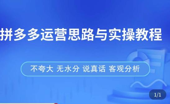 拼多多店铺运营思路与实操教程，快速学会拼多多开店和运营，少踩坑，多盈利-59爱分享