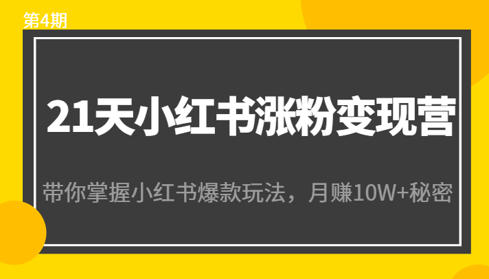 21天小红书涨粉变现营（第4期）：带你掌握小红书爆款玩法，月赚10W+秘密-59爱分享