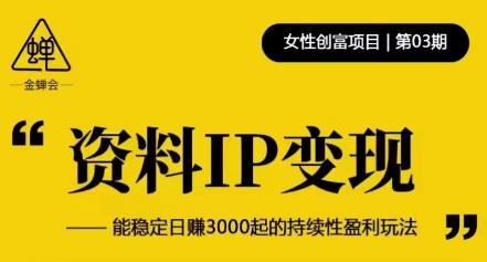 资料IP变现，能稳定日赚3000起的持续性盈利玩法-59爱分享