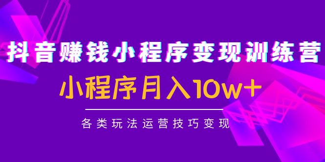 抖音赚钱小程序变现训练营：小程序月入10w+各类玩法运营技巧变现-59爱分享