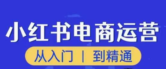 顽石小红书电商高阶运营课程，从入门到精通，玩法流程持续更新-59爱分享