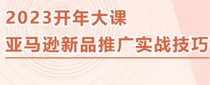 2023亚马逊新品推广实战技巧，线下百万美金课程的精简版，简单粗暴可复制，实操性强的推广手段-59爱分享