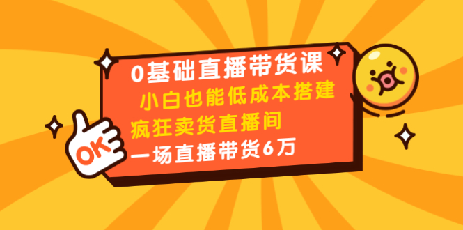 0基础直播带货课：小白也能低成本搭建疯狂卖货直播间：1场直播带货6万-59爱分享