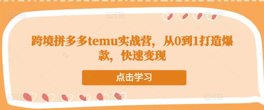 跨境拼多多temu实战营-打造爆款-59爱分享