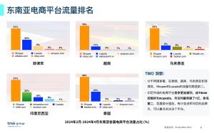图片[4]-2024东南亚电子商务市场洞察报告-59爱分享