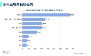 图片[5]-2024东南亚电子商务市场洞察报告-59爱分享