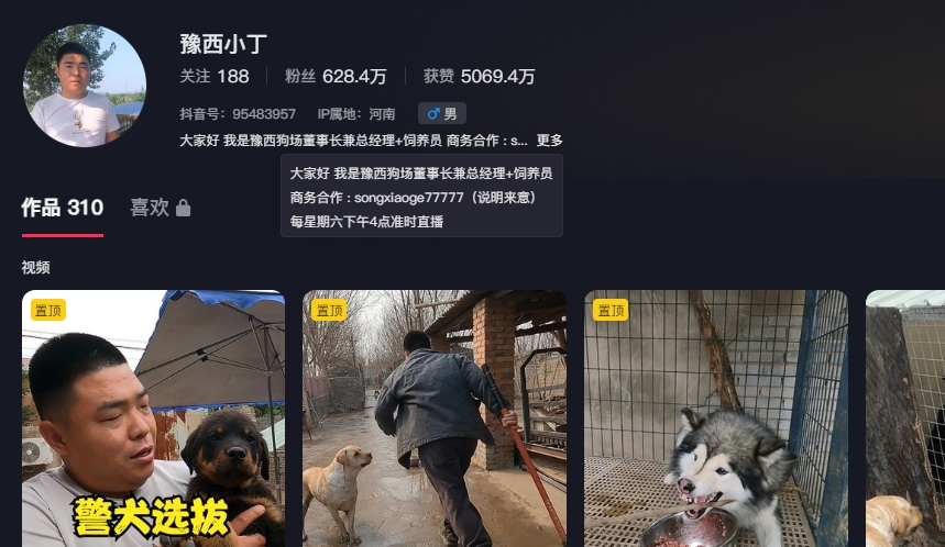 豫西小丁：全网“人仗狗势”第一人-59爱分享